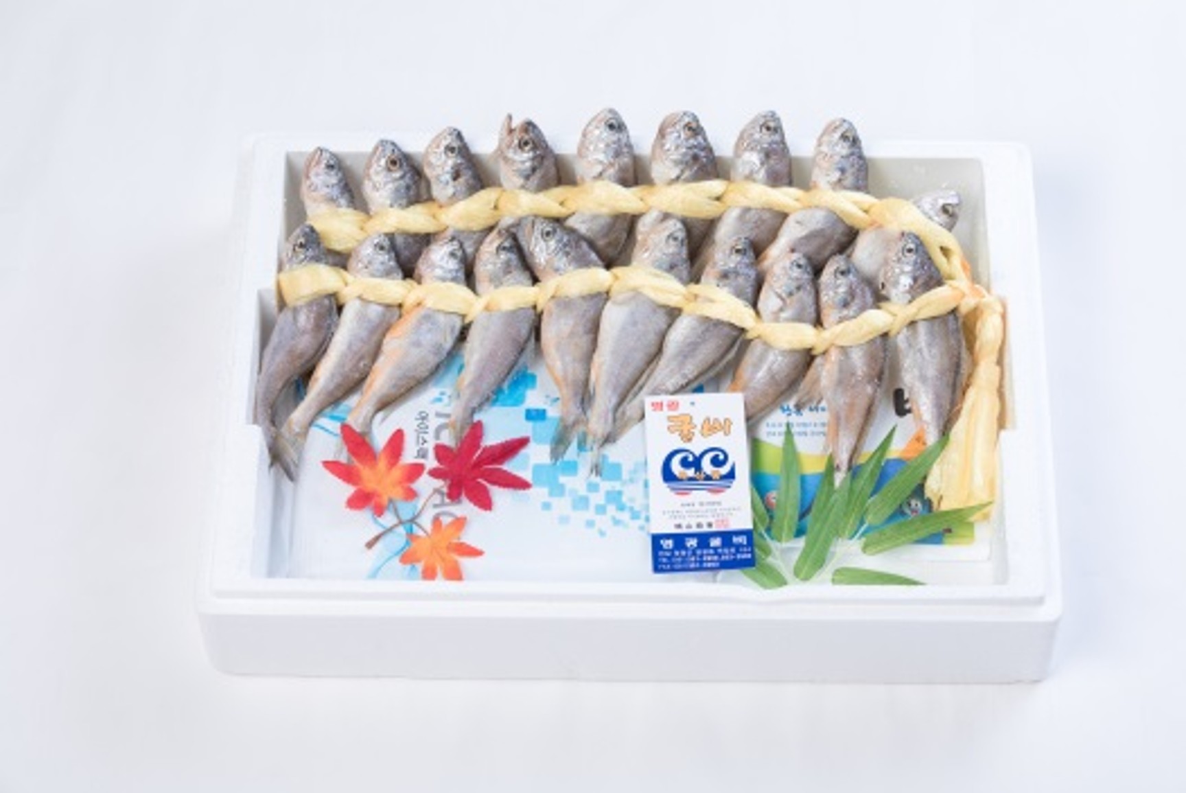 중 40마리
